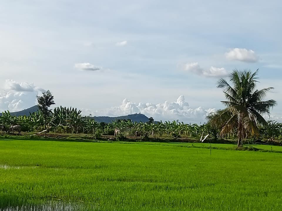 Cambodia Cycling Charity Holiday 7 Days
